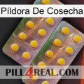 Píldora De Cosecha new10